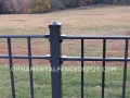 Wrought-Iron-Pool-Fencing